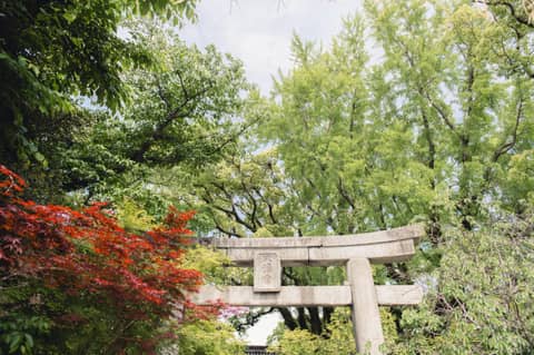 8大特典付【26年10・11月】神前式＆披露宴プラン（20～60名様）