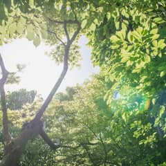 【1年先＊早割り＊7大特典付！】挙式＆披露宴プラン（20～60名様）