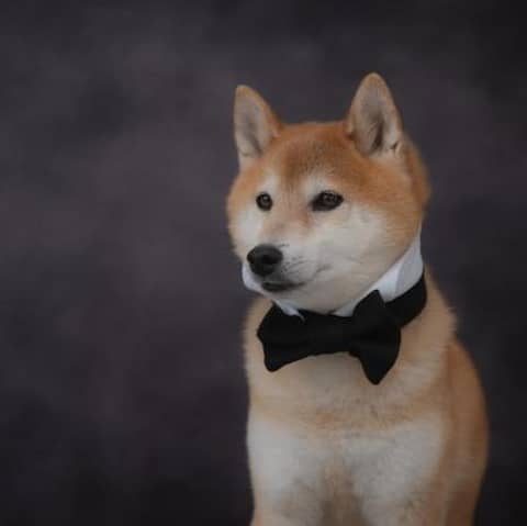 【公式】CRAFT.WEDDING YOKOHAMA