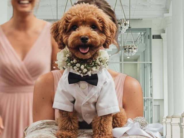 【公式】CRAFT.WEDDING YOKOHAMA