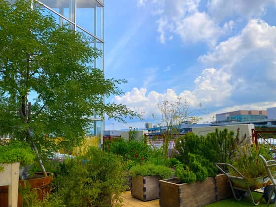 Restaurant Sola｜レストランソラ