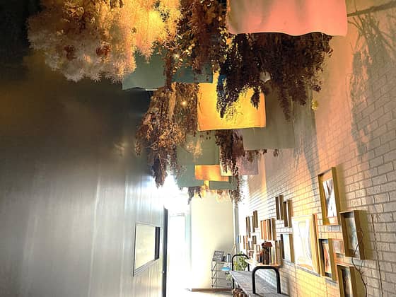 Restaurant Sola｜レストランソラ