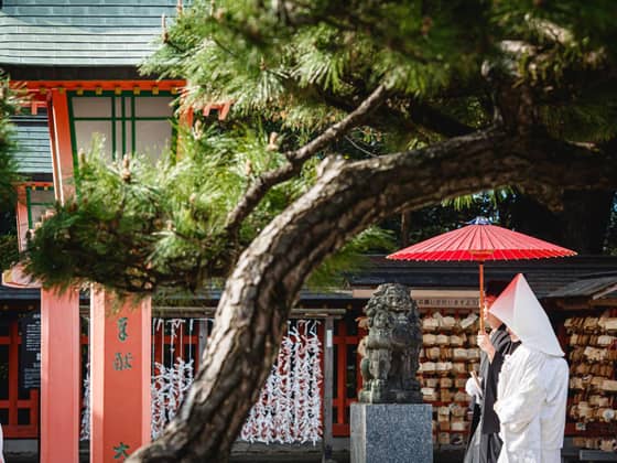 Restaurant Sola｜レストランソラ