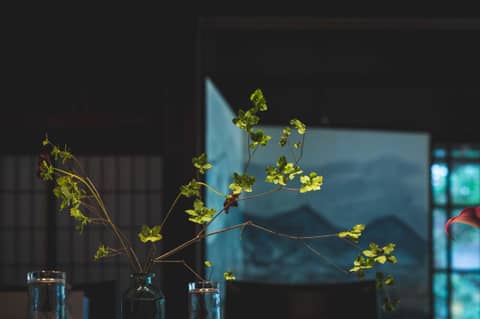 御料理　万る山（国登録有形文化財）