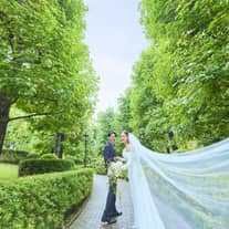 ドレス最大275,000円OFF