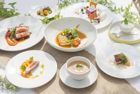 【1年で1番お得に叶える夏婚】26年7月〜8月 60名