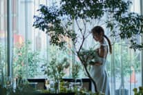 ☆2着目ドレス ☆ 50％OFF